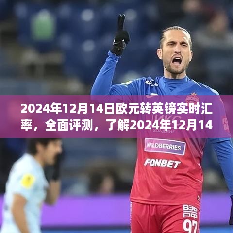 2024年12月14日欧元转英镑实时汇率全面评测及用户体验