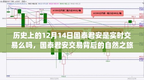 国泰君安交易背后的历史探索，实时交易与自然之旅的心灵之旅