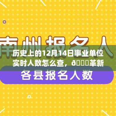 事业单位实时人数查询系统上线，革新查询方式，轻松掌握历史实时人数数据