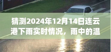 雨中的温情纽带，连云港温馨日常故事实时记录