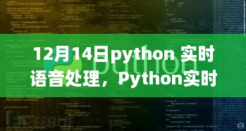 Python实时语音处理实战指南，从入门到进阶（12月14日专刊）