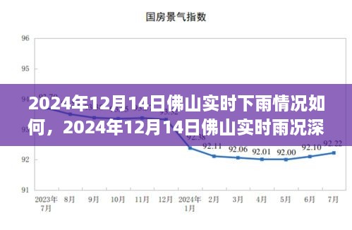 2024年12月14日佛山实时雨况深度解析，雨情、影响与应对