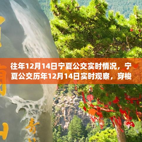 宁夏公交历年观察，穿梭城市脉络的温暖记忆——以历年12月14日实时情况为视角