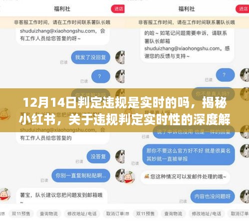 揭秘小红书违规判定的实时性，以12月14日为例的深度解析