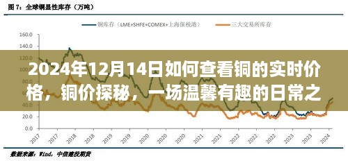 铜价探秘之旅，温馨有趣的日常之旅，如何查看铜的实时价格（2024年12月14日）