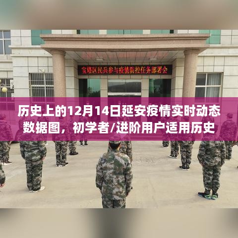 历史上的延安疫情动态，延安疫情实时数据图制作详解与实时动态数据图制作步骤指南（初学者与进阶用户适用）