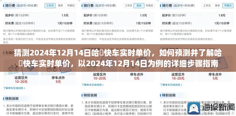 如何预测哈啰快车实时单价，以2024年12月14日为例的详细步骤指南及价格猜测