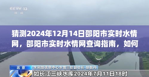 2024年12月17日 第10页