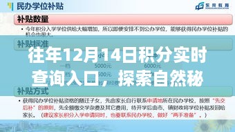 开启心灵之旅，探索自然秘境与积分查询的双重体验之门（往年积分实时查询入口）