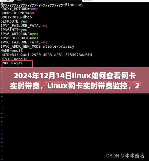 Linux网卡实时带宽监控技术，洞察领域影响与实时监控技巧（2024年技术更新）