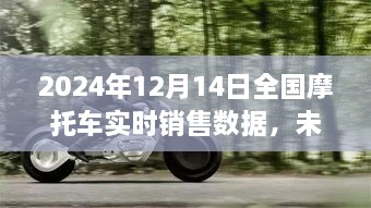 揭秘科技魔力，掌握未来驾趣，2024年摩托车销售数据深度解析