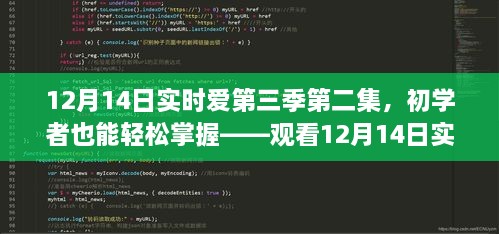 12月14日实时爱第三季第二集，初学者观看指南与详细步骤解析