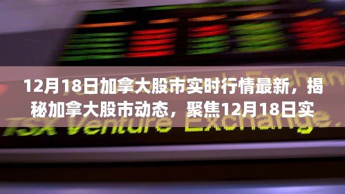 揭秘加拿大股市动态，最新实时行情解析（12月18日）