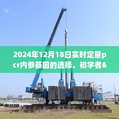 实时定量PCR内参基因选择指南，从初学者到进阶用户的步骤指南（针对2024年12月18日）