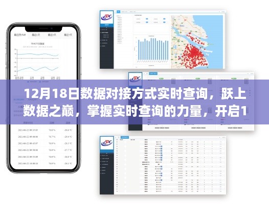 掌握实时查询力量，跃上数据之巅，开启新篇章——12月18日数据对接方式实时查询指南