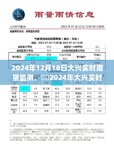 大兴实时雨量监测全面评测，特性、体验、对比及用户分析（2024年12月版）