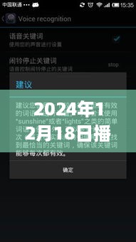 探秘巷弄深处的隐藏瑰宝，2024年12月18日特色小店的奇妙之旅直播纪实