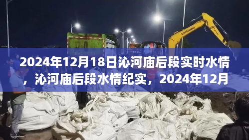 沁河庙后段水情实录，2024年12月18日的观察与反思