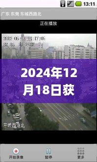 2024年12月19日 第8页