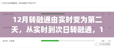 12月转融通操作指南，实时转次日，注意事项与流程解析