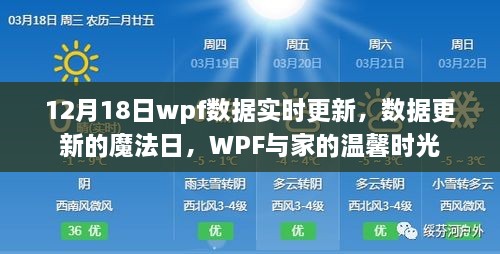 WPF数据实时更新魔法日，温馨时光与家的连接