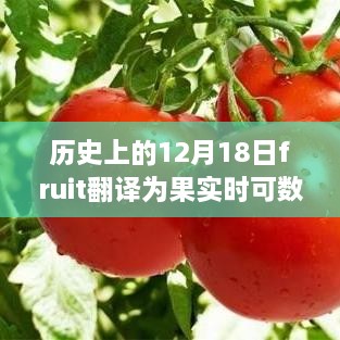 历史上的十二月十八日，探讨果实一词的可数性及其深远影响