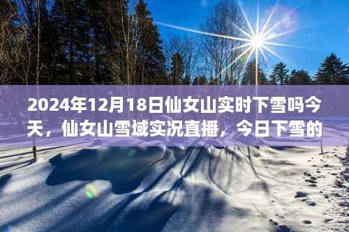 仙女山雪域实况直播，今日下雪的科技魔法与前沿体验