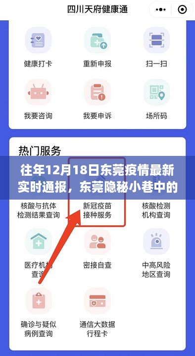 东莞隐秘小巷抗疫实录与特色小店独特魅力展现，疫情最新实时通报