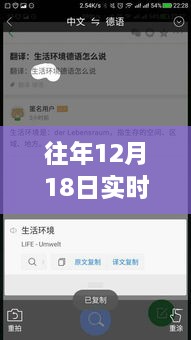 探秘宝藏，日常喧嚣中的德语实时翻译软件下载之旅