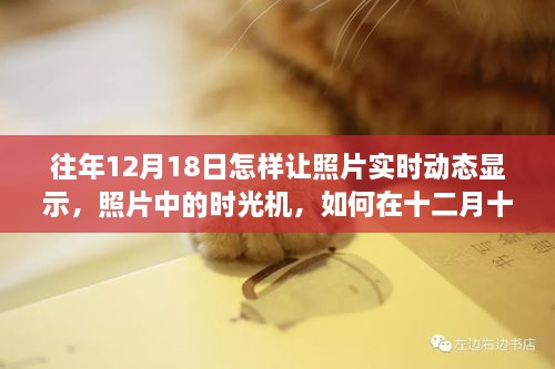 重温旧时光，照片实时动态展现温情瞬间的时光机技巧与回忆重温的十二月十八日魔法