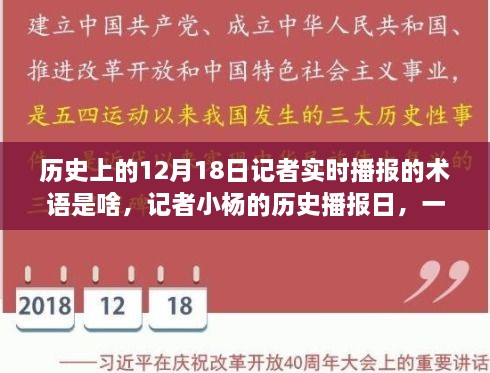 跨越时空的温馨播报，记者小杨的历史播报日与实时术语揭秘