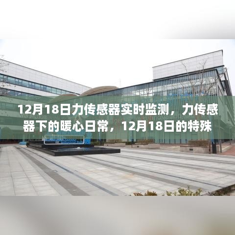 力传感器下的暖心日常，12月18日的实时监测与特殊陪伴时光