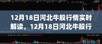 12月18日河北牛股行情深度解读，洞悉股市风云，把握投资先机