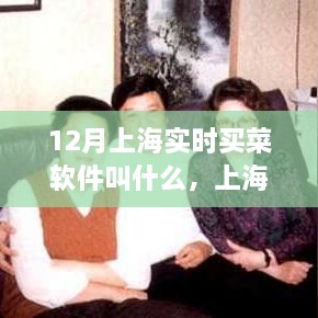 上海12月实时买菜软件引领绿色购物新风尚，踏寻内心平静的绿色买菜之旅