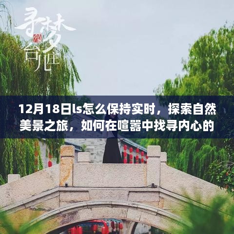 12月18日，自然探索与内心宁静之旅，实时保持与大自然的连结