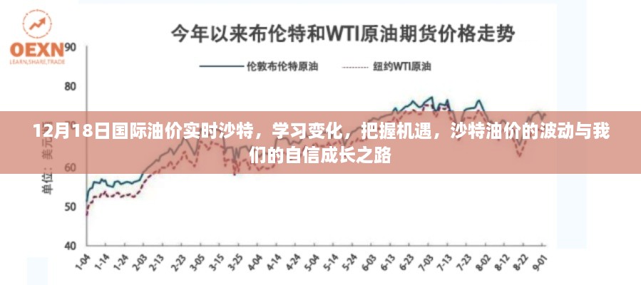 沙特油价波动背后的机遇，学习变化，自信成长之路