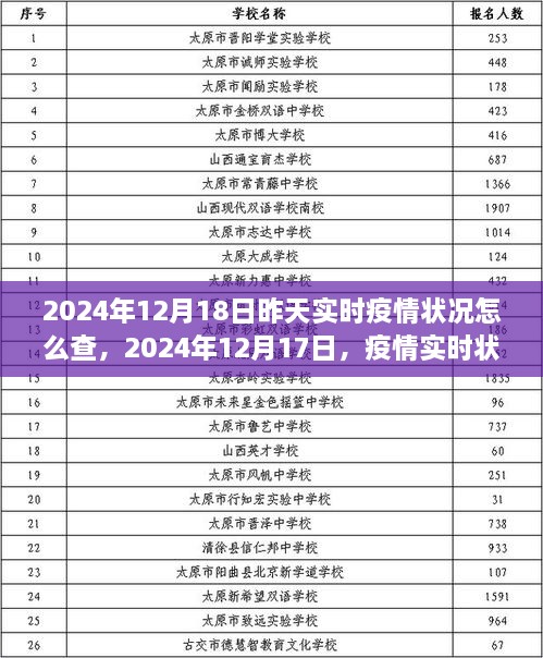 2024年12月疫情深度解析，实时状况查询与疫情动态分析