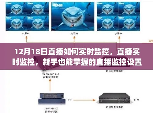 新手直播监控设置指南，实时监控操作指南（12月18日版）