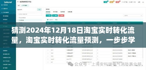 淘宝实时转化流量预测，揭秘如何预测未来日期流量趋势，洞悉淘宝流量变化至2024年12月18日。