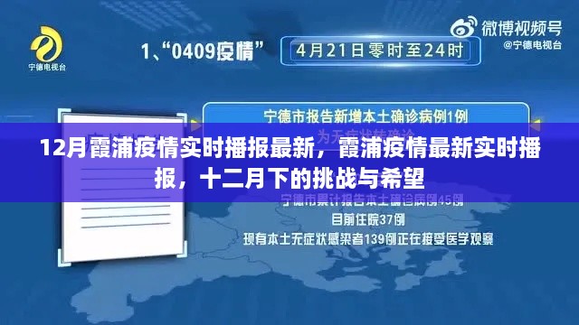 霞浦疫情最新实时播报，十二月下的挑战与希望