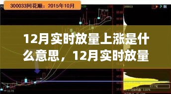 揭秘12月实时放量上涨背后的力量，变化的力量与自信的跃升