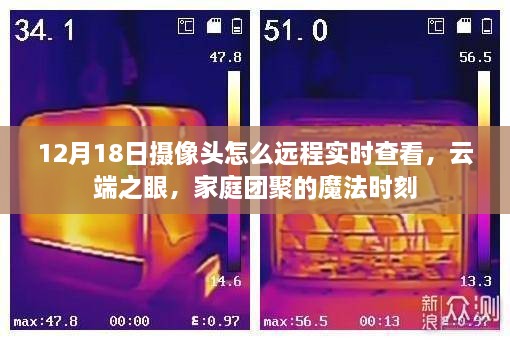 云端之眼，实现家庭团聚魔法时刻，远程实时查看摄像头指南（12月18日版）