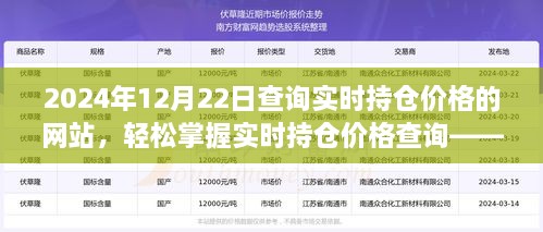 实时持仓价格查询网站指南，轻松掌握2024年12月22日查询持仓价格步骤