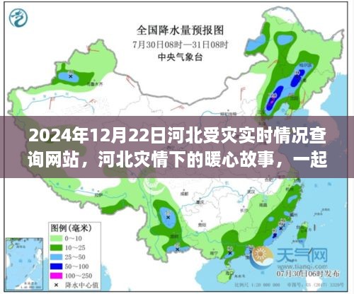 河北灾情实时更新，暖心故事与守护家园的温情时刻