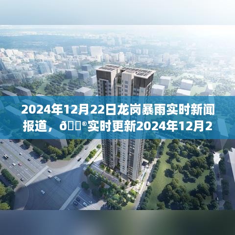 2024年12月22日龙岗暴雨来袭，实时新闻报道与现场直击