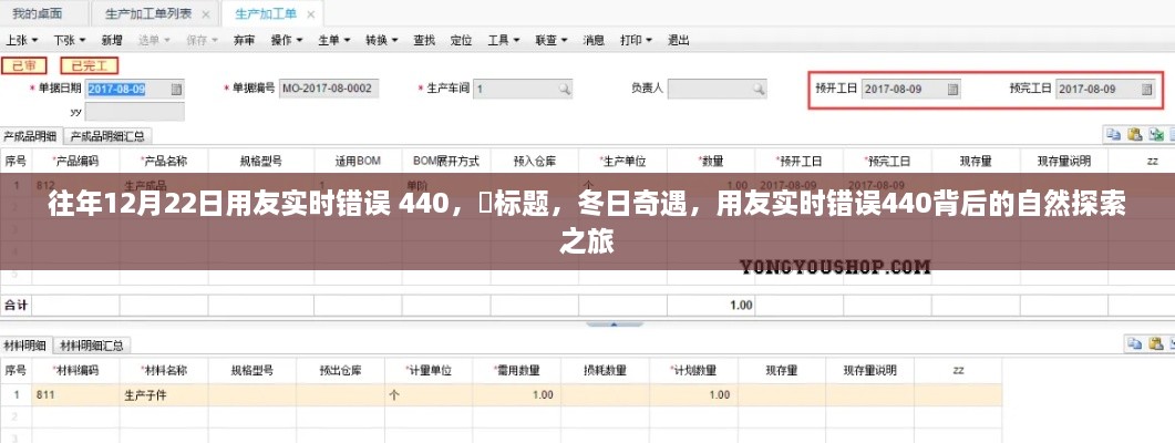 冬日用友实时错误440背后的探索之旅，揭秘自然中的奇遇与挑战