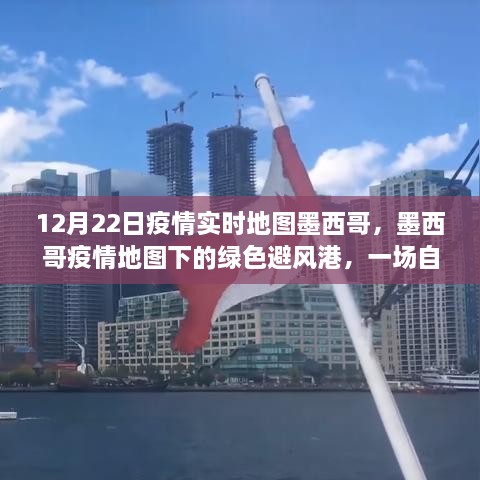 墨西哥疫情实时地图下的绿色避风港，自然之旅的宁静探索