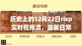 12月22日Risp实时视频流，温馨日常与奇遇时刻