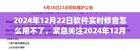 2024年12月22日软件实时修音功能无法使用问题解析与解决方案