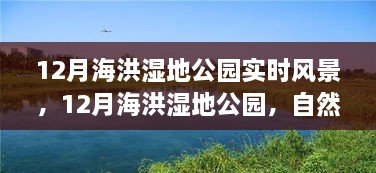 探索自然之韵，12月海洪湿地公园实时风景探索